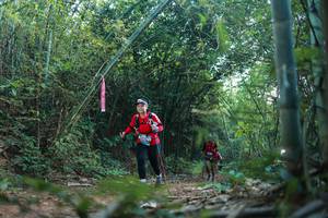 BIB: 
                            <button type="button" onclick="openModal(28025745)" class="btn btn-primary btn-sm float-right btn-popup" data-toggle="modal" data-target=".modal-high-quality">
                        <i class="fas fa-shopping-cart"></i> Add to Cart
                    </button>
                                            <button type="button" onclick="isThisMe(28025745, true)" class="btn btn-success btn-sm float-right btn-popup btn-isme hidden" data-toggle="tooltip" data-placement="bottom" title="นี่คือรูปของคุณใช่ไหม คลิกที่นี่เพื่อเอาเข้าอัลบั้ม">
                        <i class="fas fa-plus"></i> Add to album
                    </button>
                    <button type="button" onclick="isThisMe(28025745, false)" class="btn btn-warning btn-sm float-right btn-popup btn-isnotme hidden">
                        <i class="fas fa-ban"></i> Remove from album
                    </button>